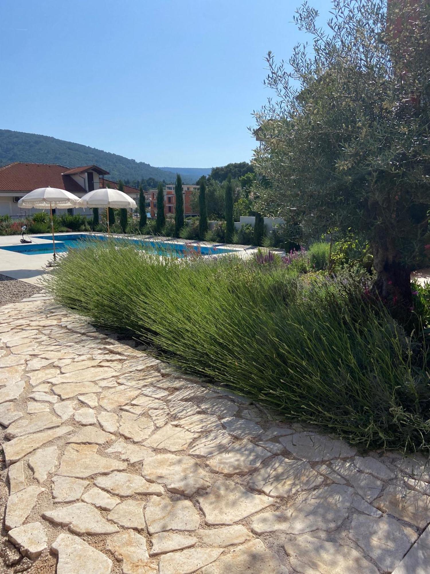 סטארי גראד Hvar Luxury Villa And Pool With View In Heart Of Stari Grad מראה חיצוני תמונה